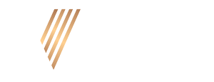 VISION HUB TECHNOLOGIES